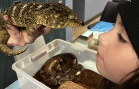 Student looking at reptile